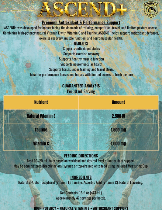 ASCEND - NATURAL VITAMIN E + ANTIOXIDANT SUPPORT