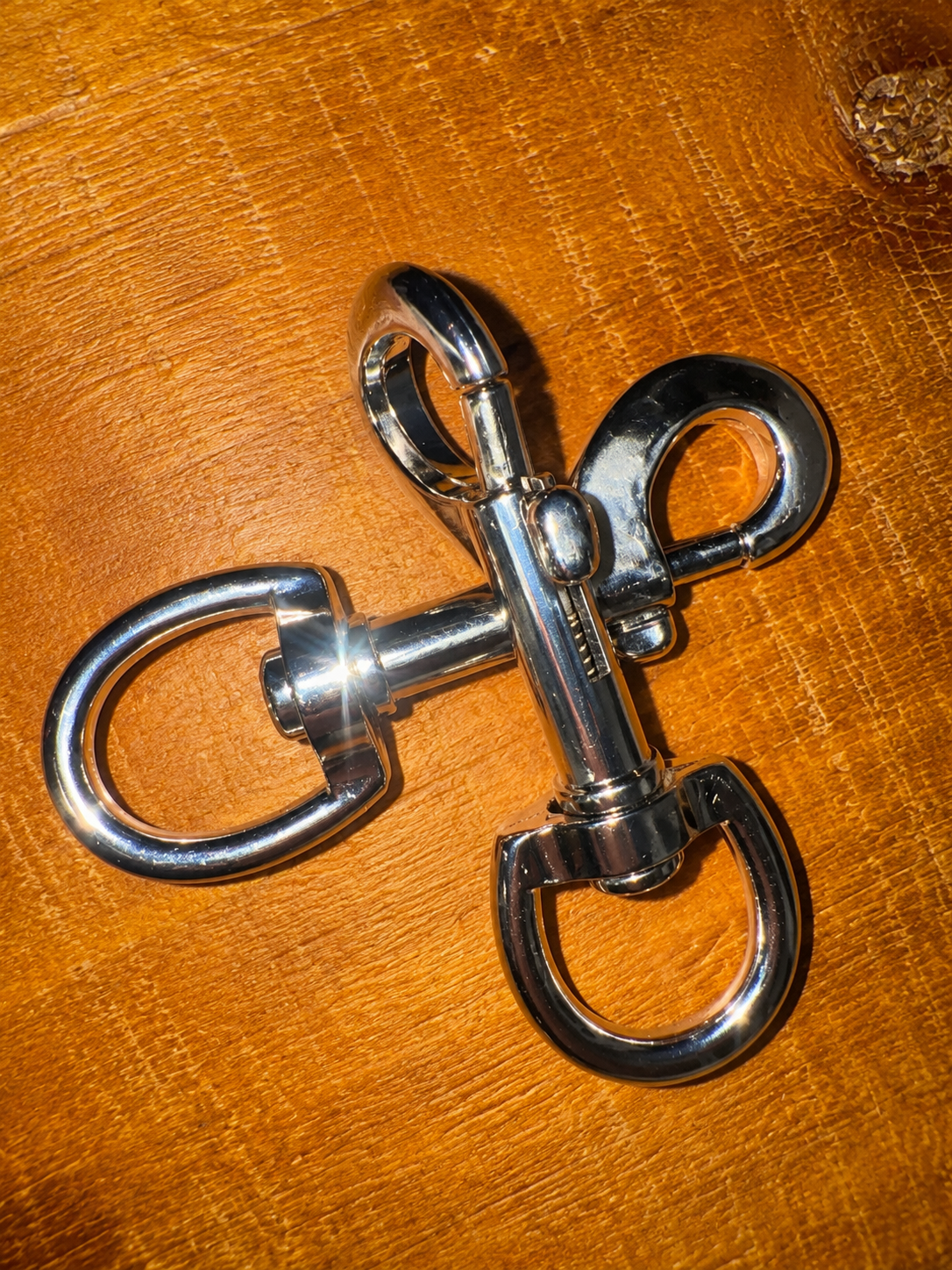 DRAW REINS