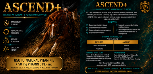 ASCEND - NATURAL VITAMIN E + ANTIOXIDANT SUPPORT