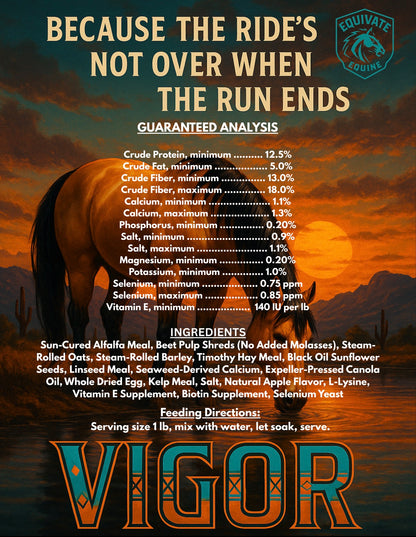 VIGOR - Hydration & Recovery Mash