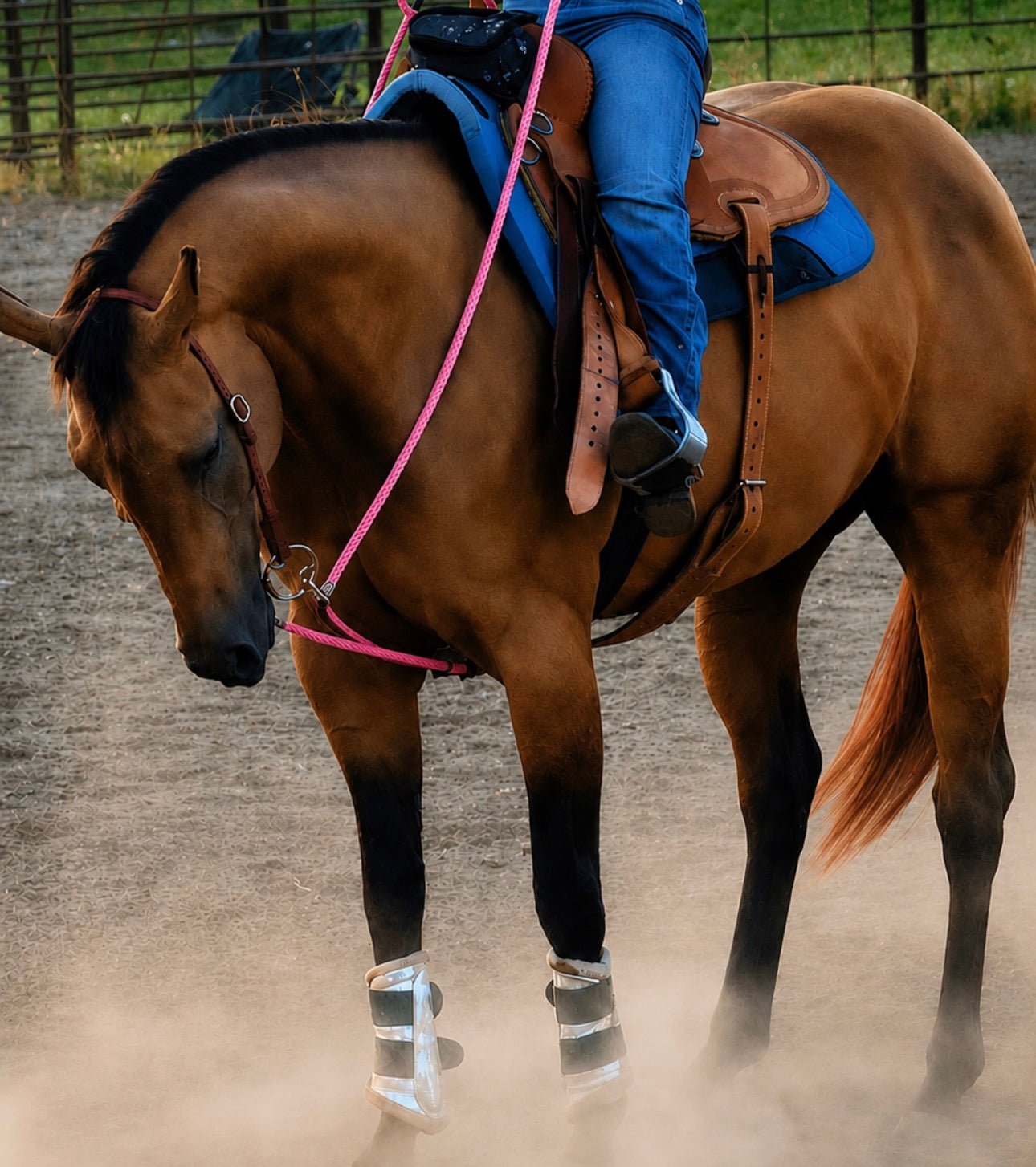 DRAW REINS