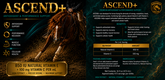 ASCEND - NATURAL VITAMIN E + ANTIOXIDANT SUPPORT