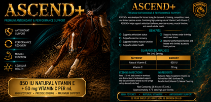 ASCEND - NATURAL VITAMIN E + ANTIOXIDANT SUPPORT