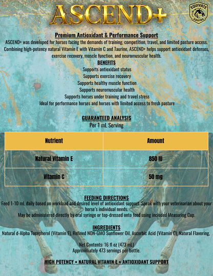 ASCEND - NATURAL VITAMIN E + ANTIOXIDANT SUPPORT