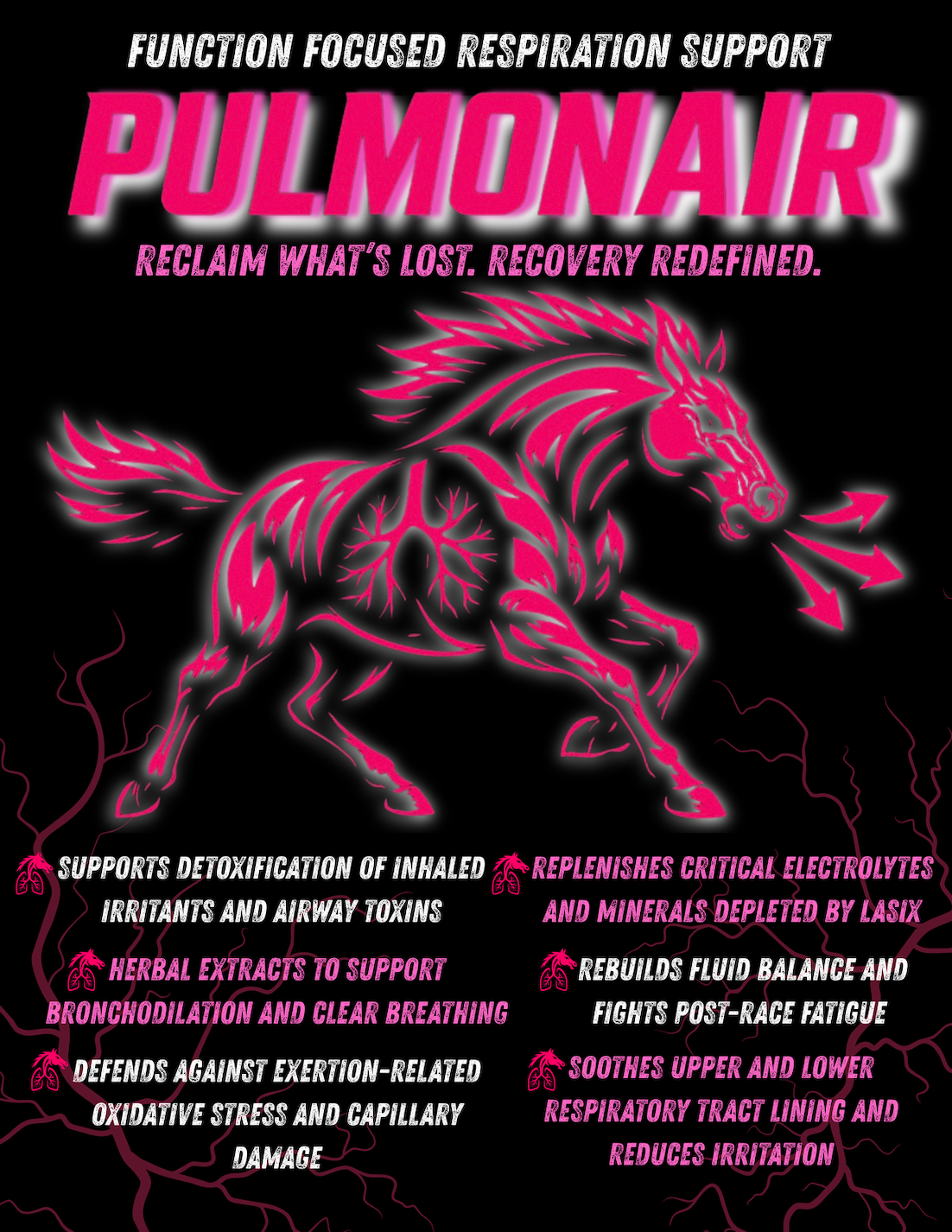 PULMONAIR - Respiratory Support + Lasix Recovery