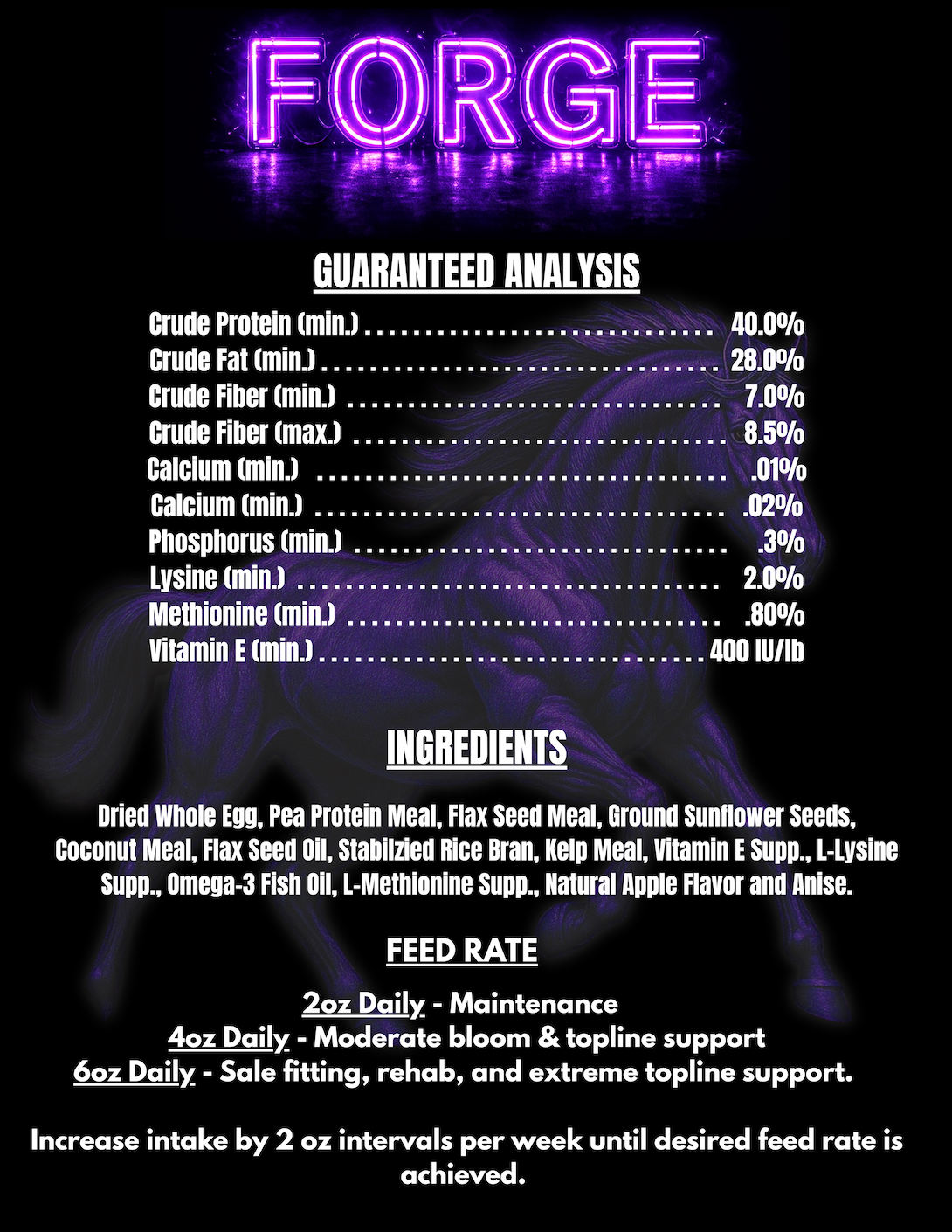 FORGE - Extreme Conditioning Supplement