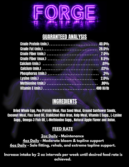 FORGE - Extreme Conditioning Supplement
