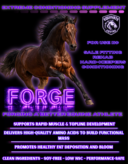 FORGE - Extreme Conditioning Supplement