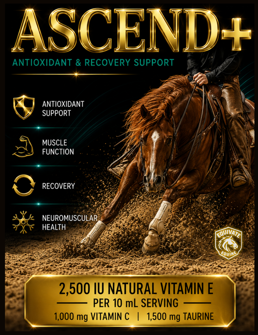 ASCEND - NATURAL VITAMIN E + ANTIOXIDANT SUPPORT